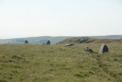 The Shearers