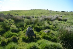 Burgh Hill Stone Circle