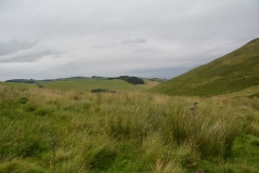 Shielknowe Burn Enclosure
