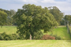 Nun's Well (Upsettlington)