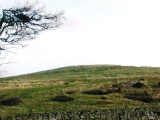 Cockburn Law Hillfort - PID:26873