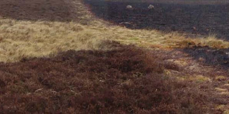 Borrowston Rigg
