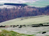 Edin's Hall - PID:26871