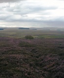 Herriot's Dyke - PID:24221