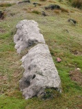 Herriot's Dyke - PID:24223