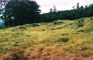 Drakemire hillforts - PID:25733