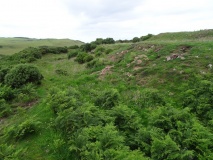 Earn's Heugh