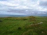 Dowlaw (Harlie Darlies) - PID:39847