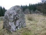 Giant's Stone (Scottish Borders) submitted by nicoladidsbury