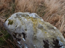 The Buck Stone (Buckstone Rig)