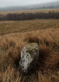 The Buck Stone (Buckstone Rig)