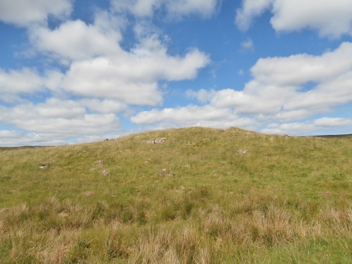 Click for the gallery page to add comments and vote (PID:290304) Carn Liath (Trantlemore)