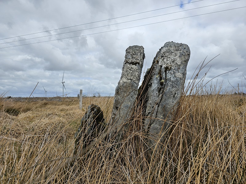 Click for the gallery page to add comments and vote (PID:306414) Halsary Standing Stone