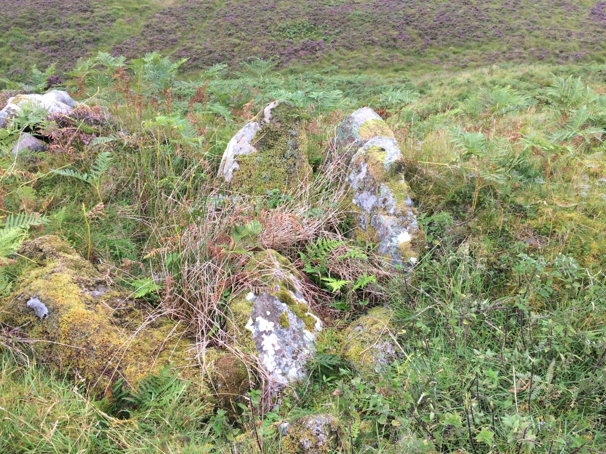 Click for the gallery page to add comments and vote (PID:231599) Allt Sgiathaig