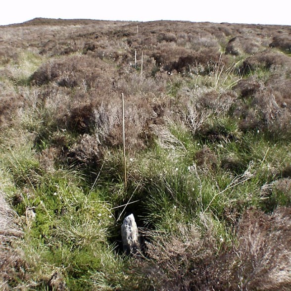 Click for the gallery page to add comments and vote (PID:11914) Camster Stone Rows