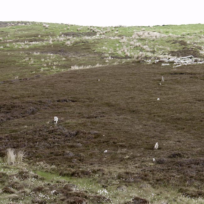 Click for the gallery page to add comments and vote (PID:12047) Garrywhin Multiple Stone Rows