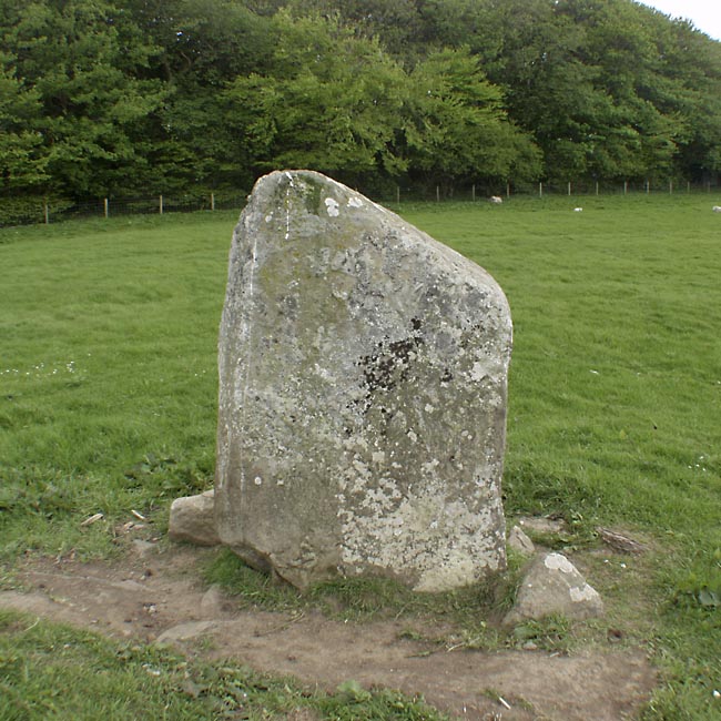 Click for the gallery page to add comments and vote (PID:12002) Bridge of Dunn Standing Stone