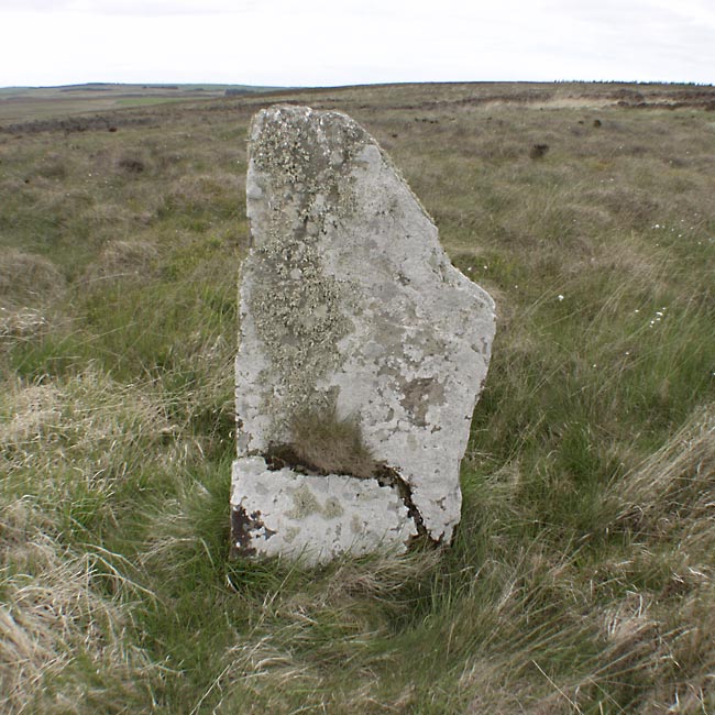 Click for the gallery page to add comments and vote (PID:11902) Broubster (Caithness)