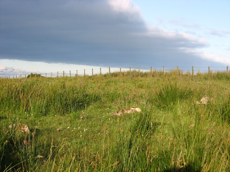 Battle Moss Stone Rows