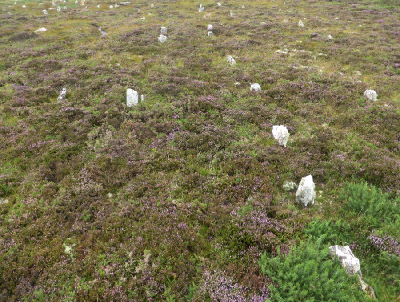 Hill o'Many Stanes