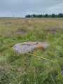 Achanarras Stone Circle and Cairn - PID:275462