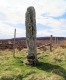 Upper Borgue Standing Stone - PID:241137
