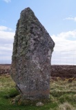 Upper Borgue Standing Stone - PID:241136