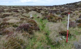Groat’s Loch, South