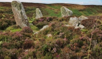 Garrywhin Fort - PID:136709