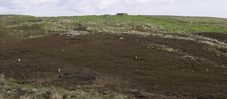 Garrywhin Multiple Stone Rows
