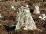 Hill o'Many Stanes - PID:108053