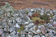 Cnoc An Daimh - PID:206388