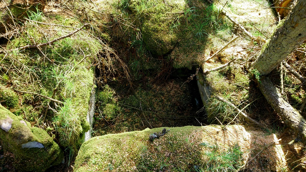 Facing SW (22.04.19) : The SW side of the Chamber has NO stone anymore, although a large, flat boulder sits perched on the edge, covered in pine needles and sawdust.

The chamber measures approx 115cm x 150cm