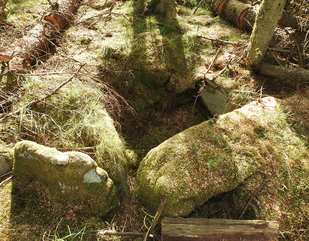 Facing W (22.04.19) : Cameron Wood Neolithic Chambered Cairn remains.