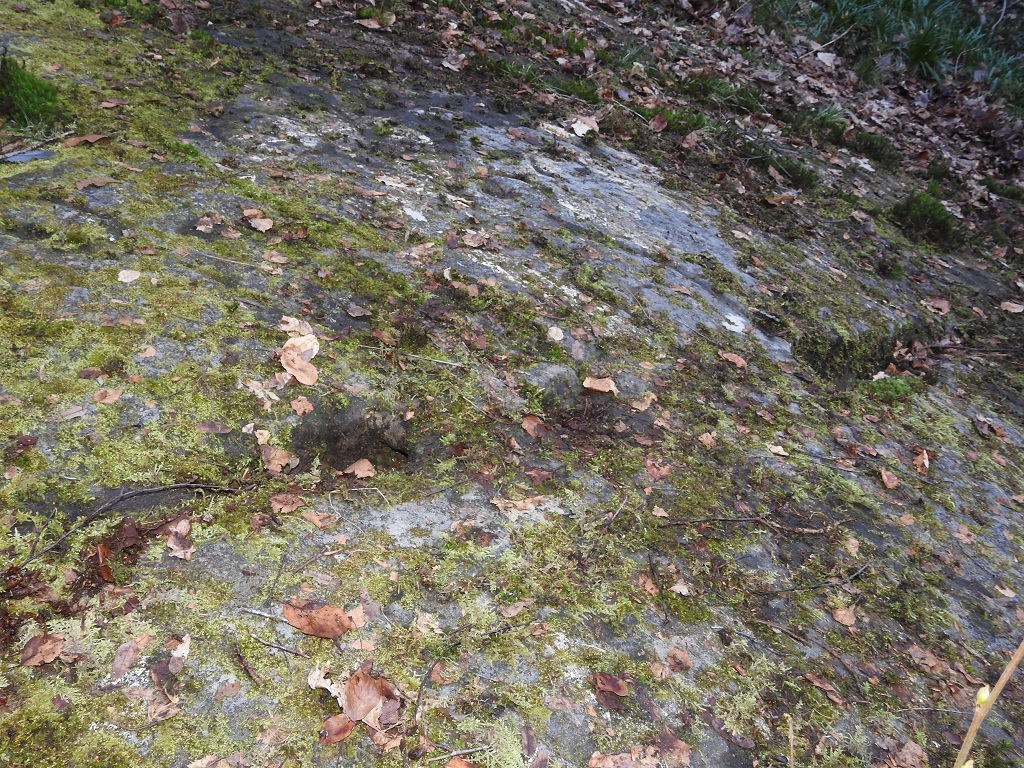 High Craigenfeoch Rock Art