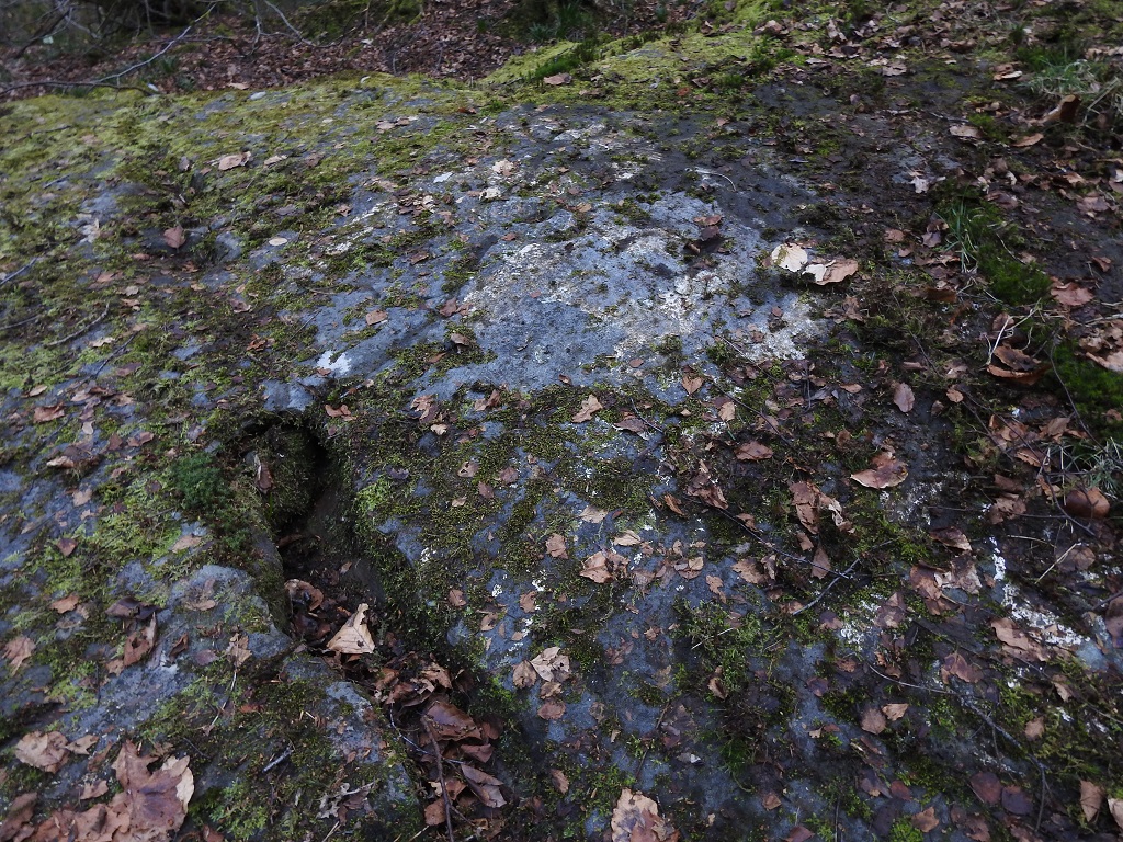 High Craigenfeoch Rock Art