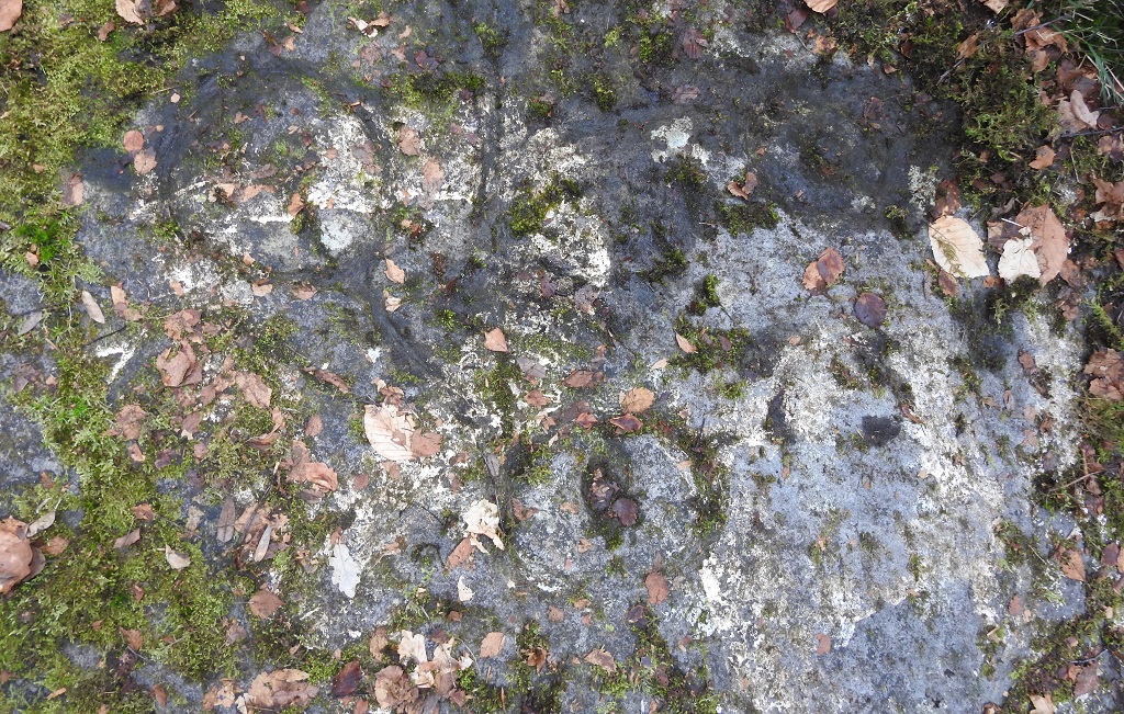 High Craigenfeoch Rock Art