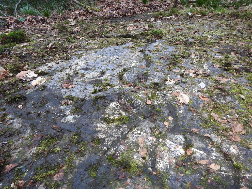 High Craigenfeoch Rock Art