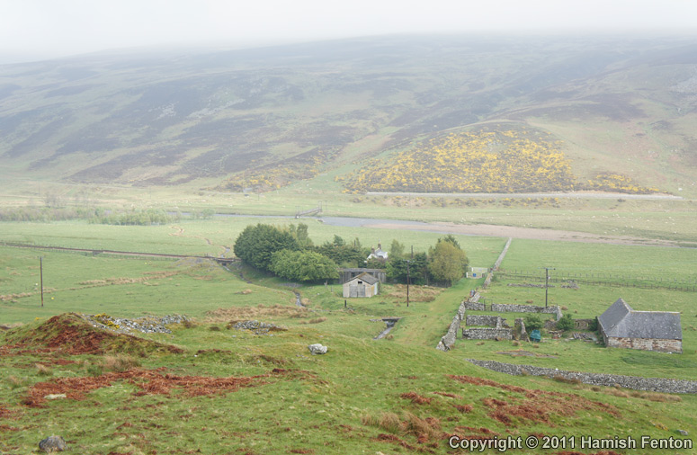 Click for the gallery page to add comments and vote (PID:79594) Kilearnan Hill
