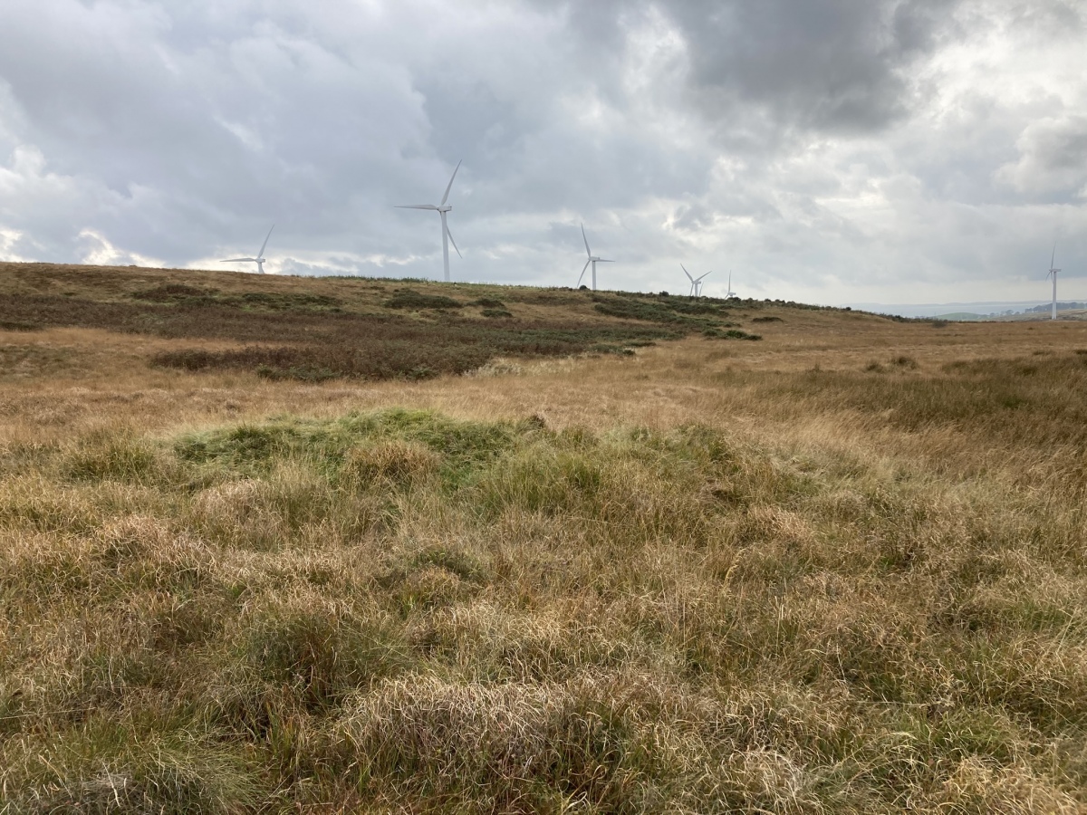 Click for the gallery page to add comments and vote (PID:278473) Carscreugh Burnt Mound