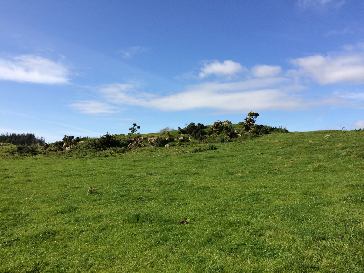 Court Cairn, The May