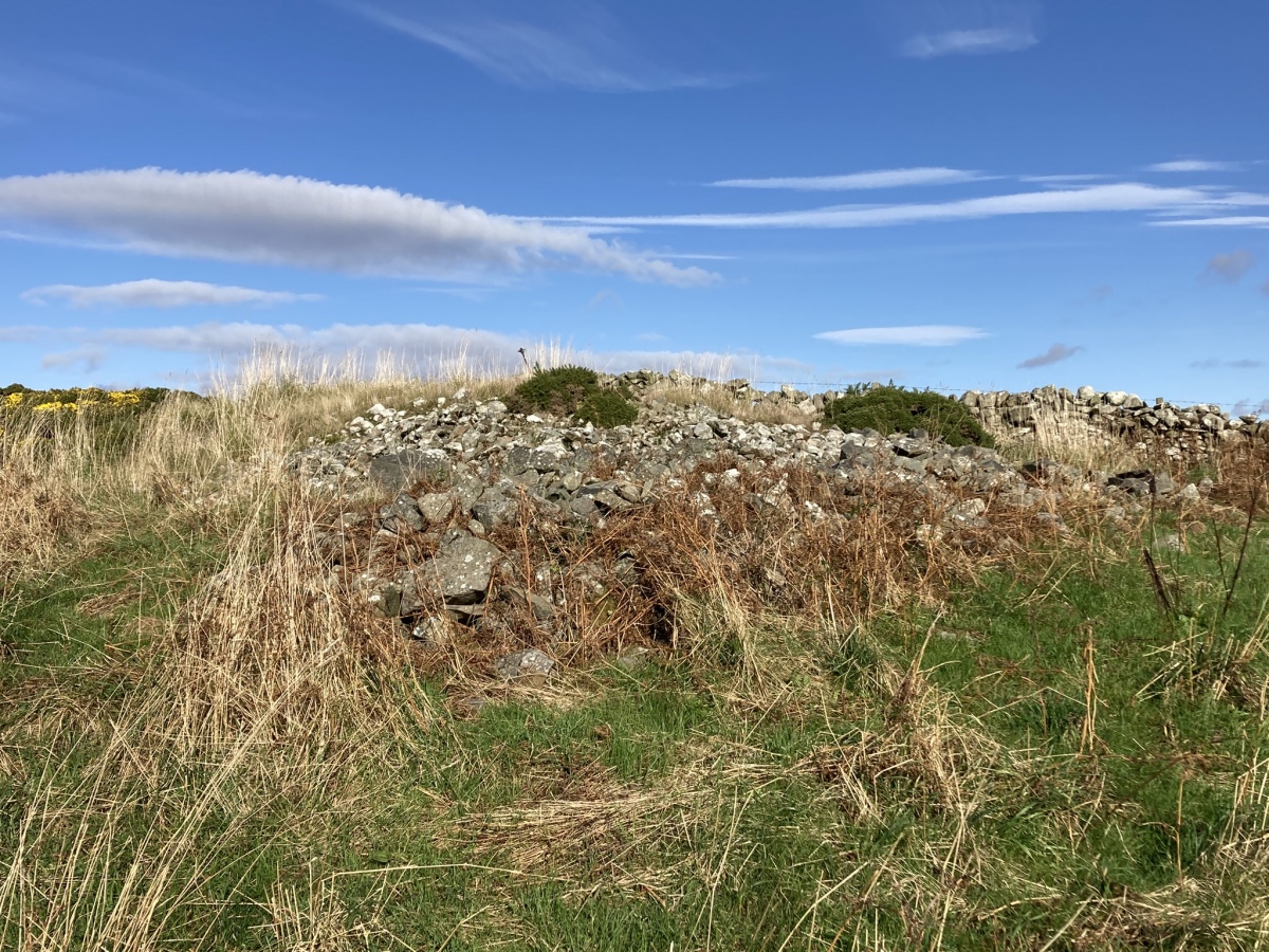 Click for the gallery page to add comments and vote (PID:278672) Culquhasen-SE