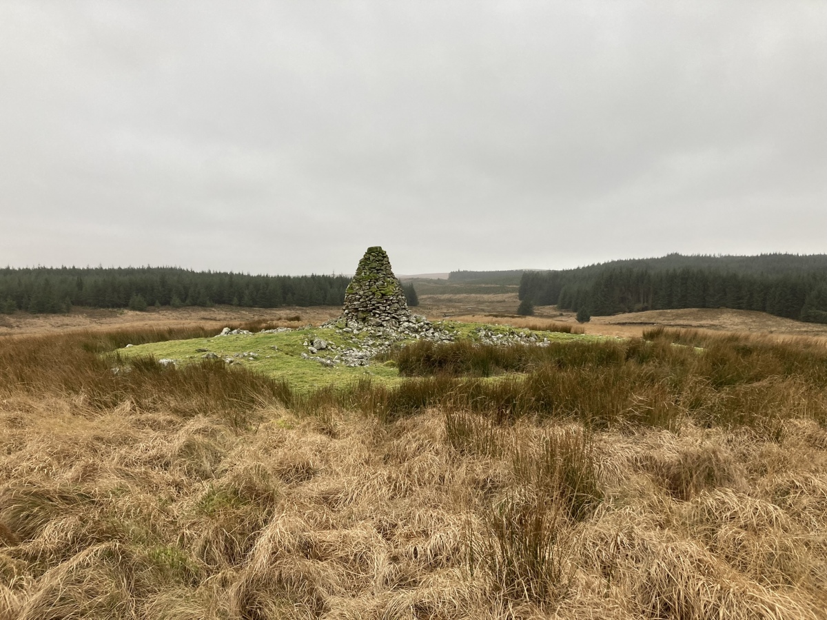 Click for the gallery page to add comments and vote (PID:269003) Drumanwherran S Cairn Cemetery