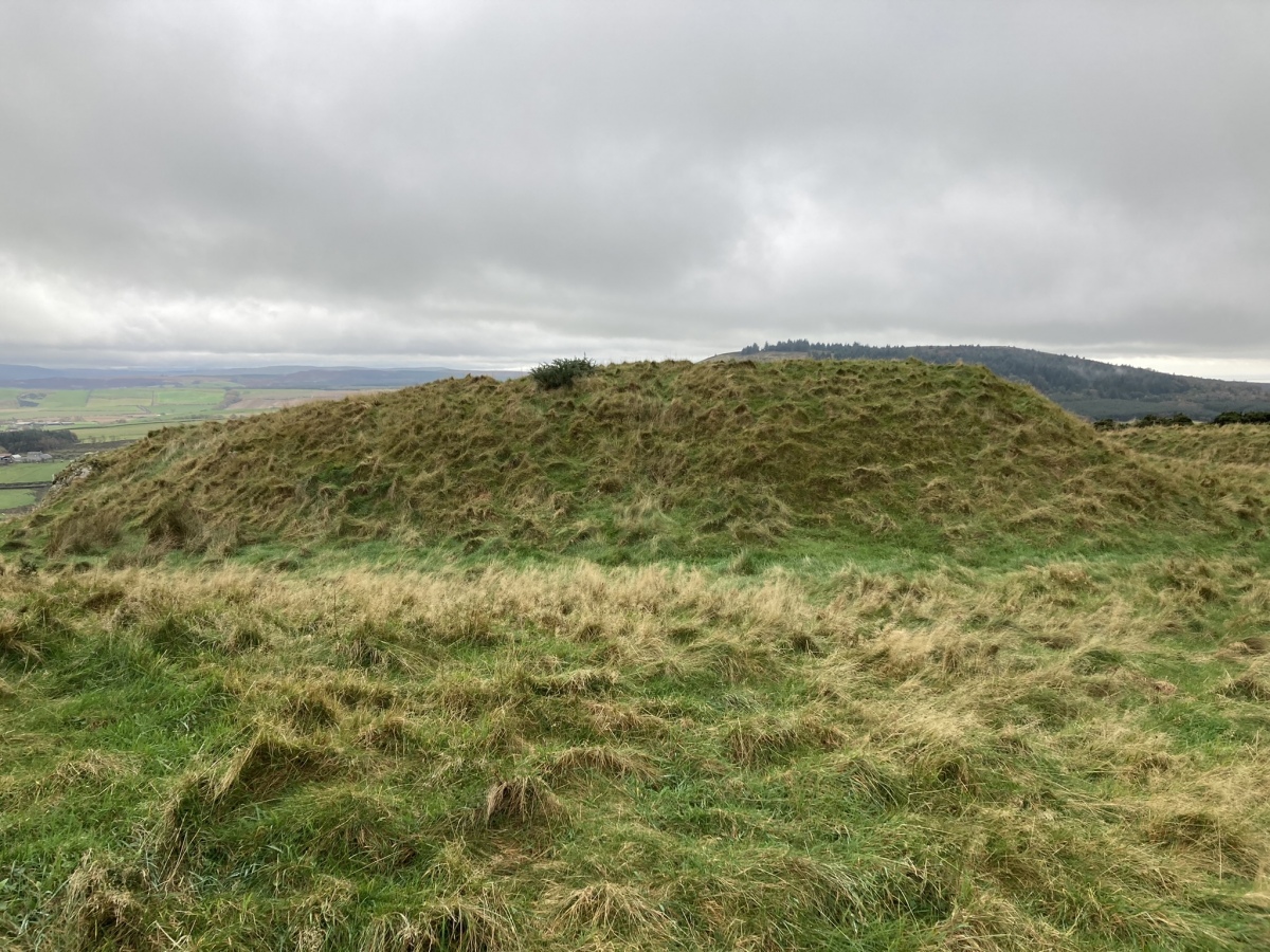 Click for the gallery page to add comments and vote (PID:250288) Howmoor