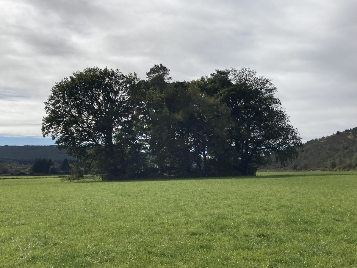 Nether Holm Of Dalquhairn