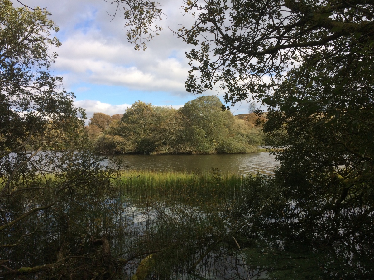 Click for the gallery page to add comments and vote (PID:225047) Whitefield Loch Crannog