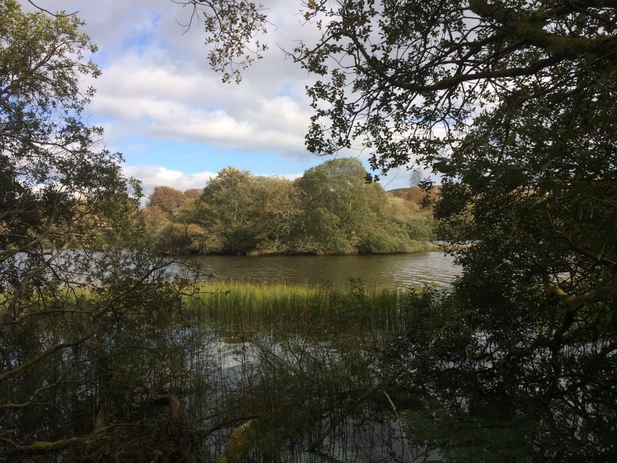 Whitefield Loch Crannog viewed from the lochs edge.