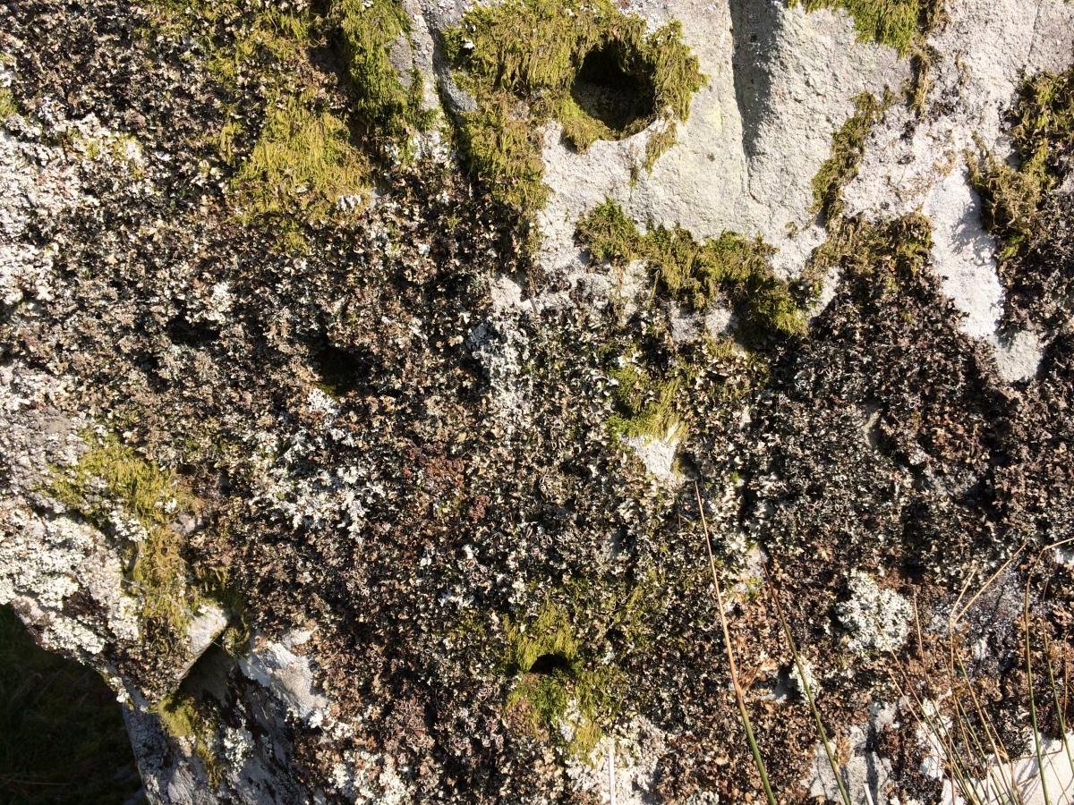 Barclye Rocking Stone