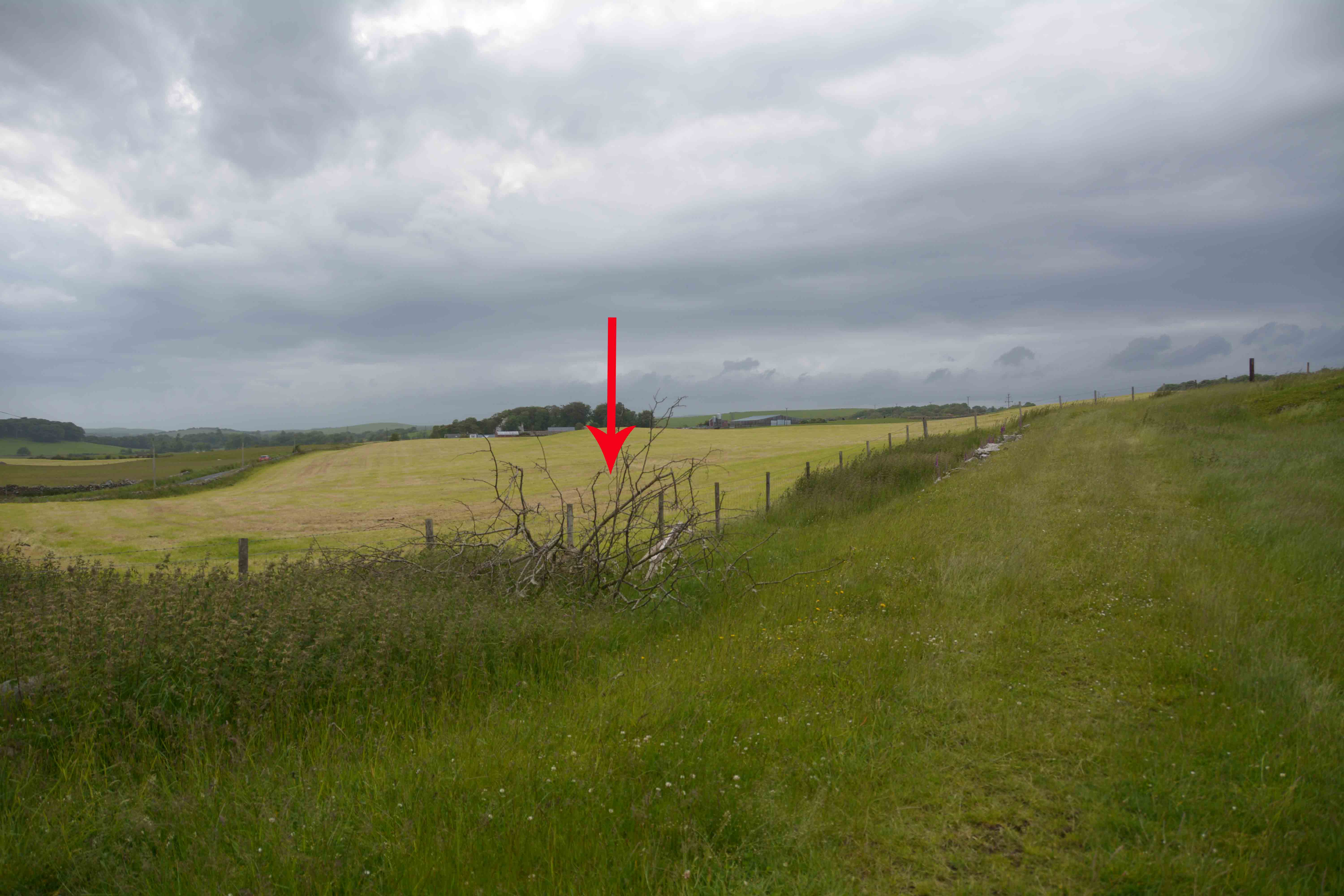 Click for the gallery page to add comments and vote (PID:199018) Torhouse North Side Cairn