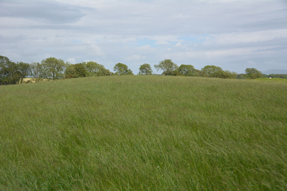 Click for the gallery page to add comments and vote (PID:199021) Torhouse North Cairn
